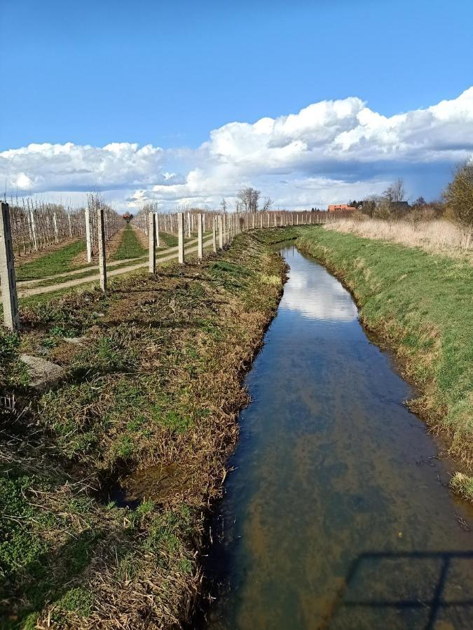 Ostoja Czersk Zamek Gora Kalwaria Appartement Buitenkant foto