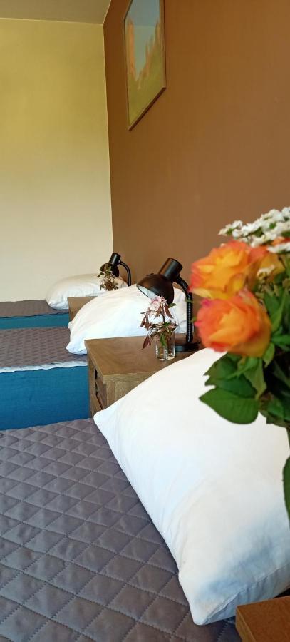 Ostoja Czersk Zamek Gora Kalwaria Appartement Buitenkant foto