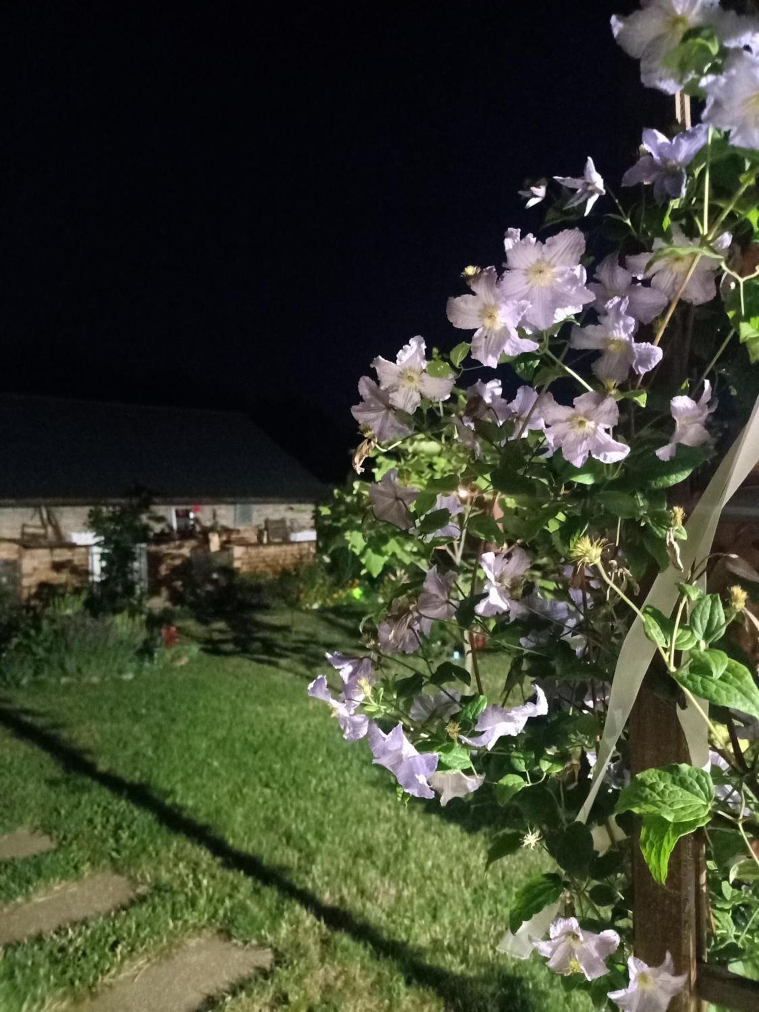Ostoja Czersk Zamek Gora Kalwaria Appartement Buitenkant foto