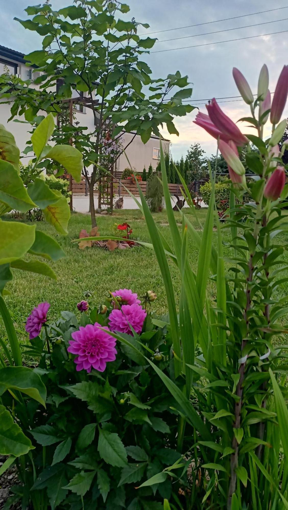 Ostoja Czersk Zamek Gora Kalwaria Appartement Buitenkant foto