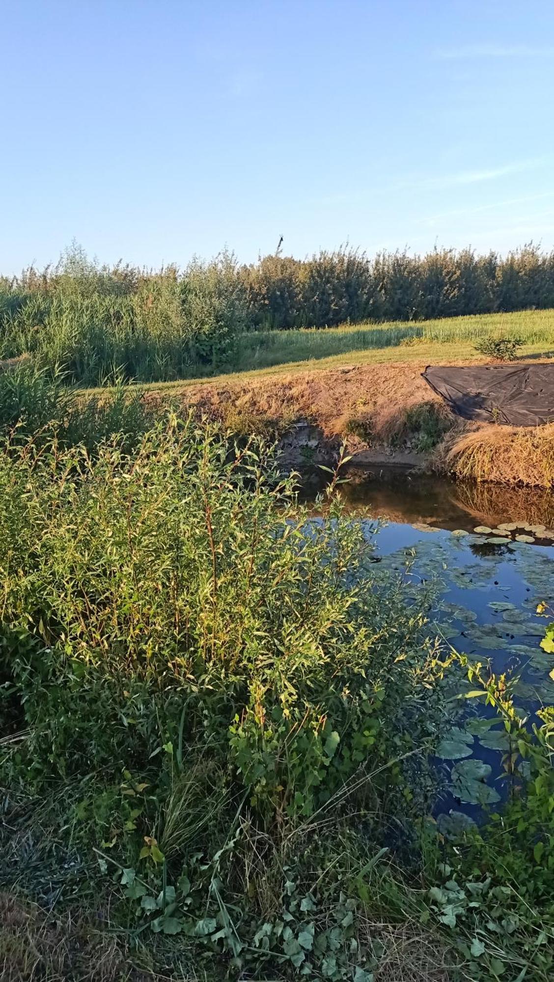 Ostoja Czersk Zamek Gora Kalwaria Appartement Buitenkant foto