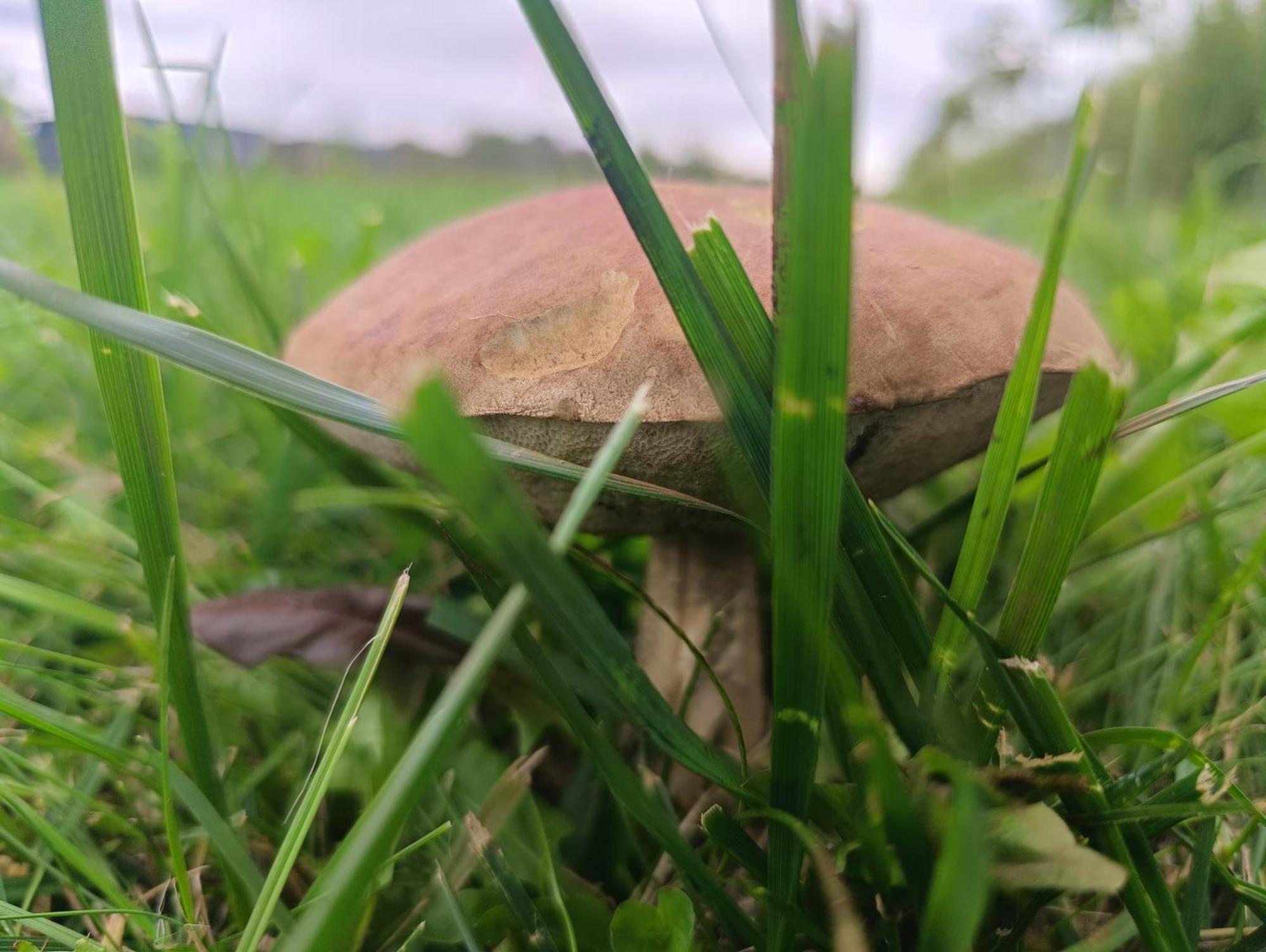 Ostoja Czersk Zamek Gora Kalwaria Appartement Buitenkant foto